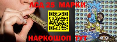 индика Ирбит