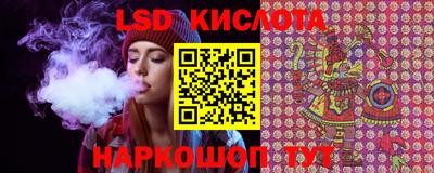 индика Ирбит