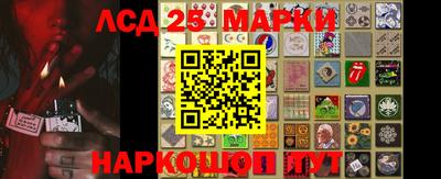 индика Ирбит