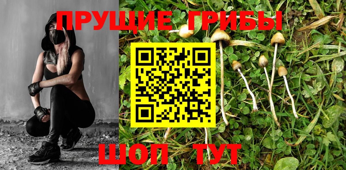 Галлюциногенные грибы ЛСД  Псилоцибиновые грибы Psilocybine cubensis  купить наркотики сайты  Вход с VPN  Крымск 